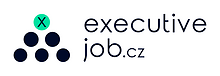 Executive job
